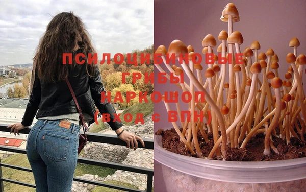 дурь Баксан